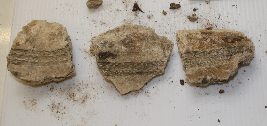 Impressions in stucco of funerary textiles recovered in excavations at San Ignacio