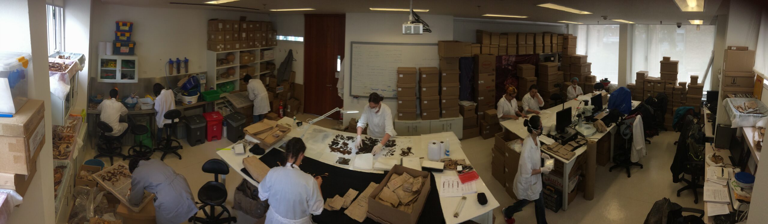 San Ignacio Archaeology Project Members working in the laboratory